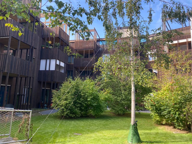 2-room apartment with garden seating in central location in Basel (12)