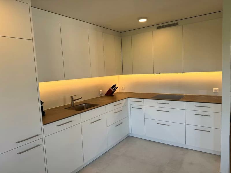 Appartement meublé de 3,5 pièces avec vue sur le lac au centre de Zug (11)