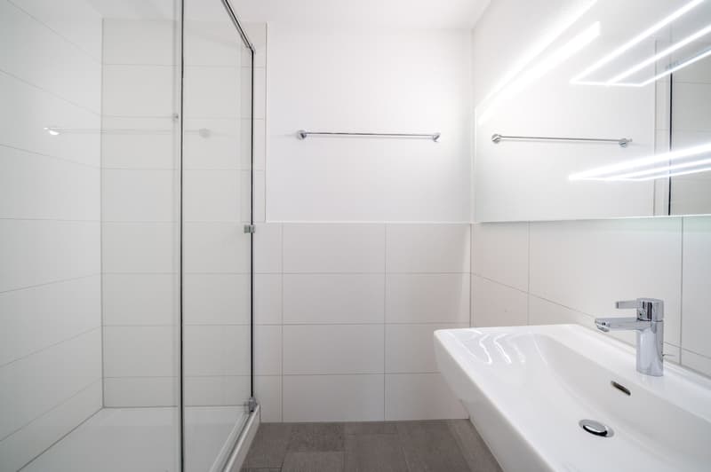 Modern 4.5-room apartment with mountain and lake view in Lucerne (15)