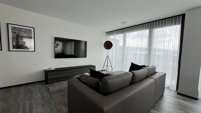 Furnished modern 2.5-room apartment with balcony in Zurich (10)