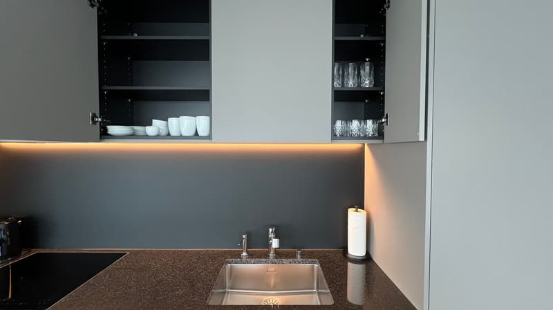 Furnished modern 2.5-room apartment with balcony in Zurich (4)