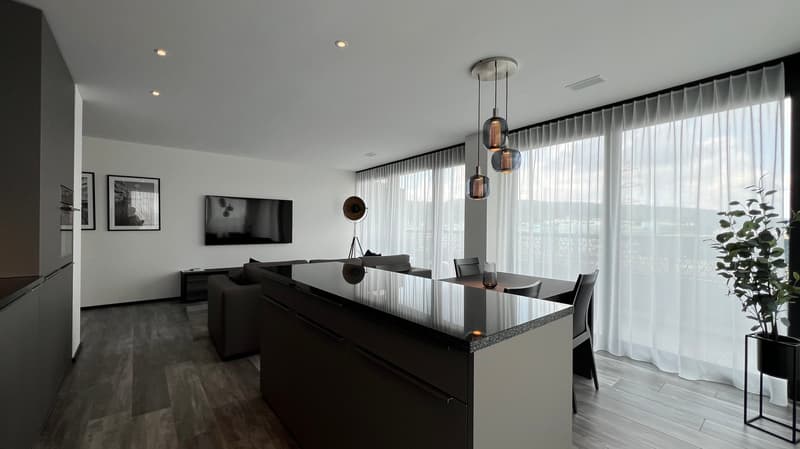 Furnished modern 2.5-room apartment with balcony in Zurich (3)