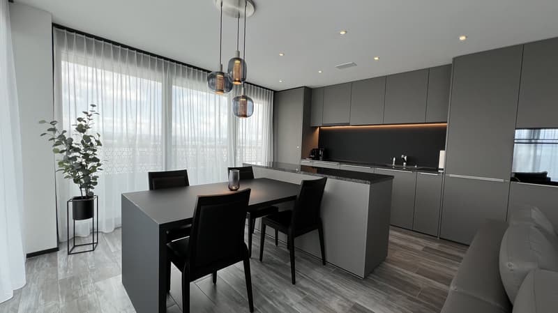 Furnished modern 2.5-room apartment with balcony in Zurich (2)
