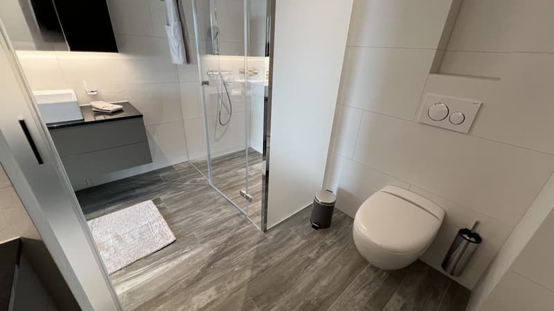 Furnished modern 2.5-room apartment with balcony in Zurich (8)