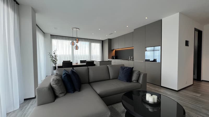 Furnished modern 2.5-room apartment with balcony in Zurich (11)