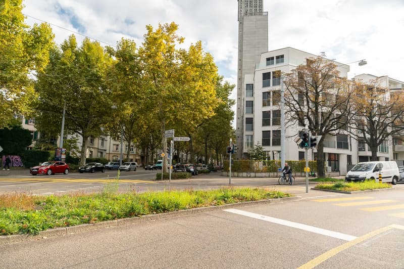 Stylish 3.5-room apartment with balcony near Kannenfeldpark (12)