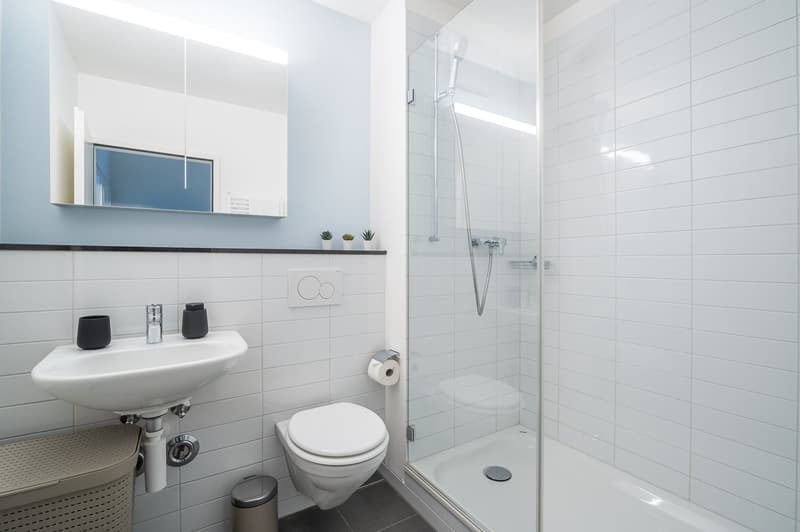 Stylish 3.5-room apartment with balcony near Kannenfeldpark (9)