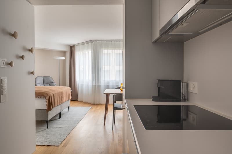 Modern open floor plan with a kitchen and living room area, a bed with beige bedding, a table with chairs, a carpet, and windows with white curtains.