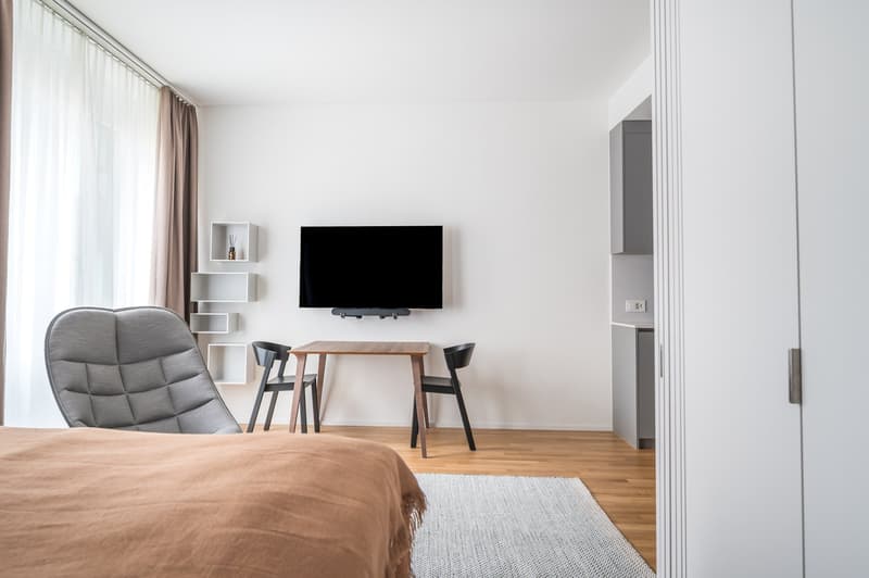 Appartement meublé 2.5 pièces moderne près de la gare principale de Zurich (5)