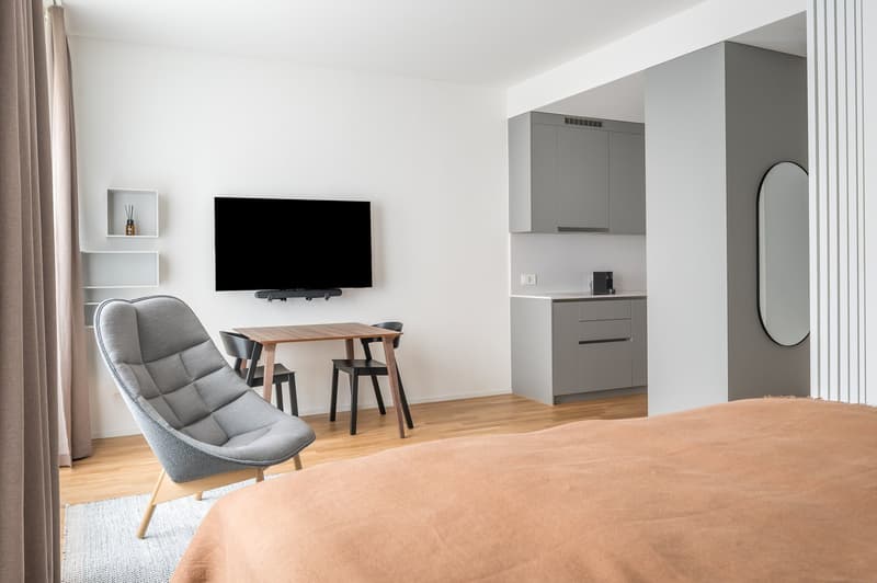 Appartement meublé 2.5 pièces moderne près de la gare principale de Zurich (6)