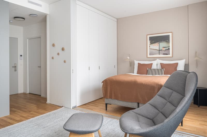 Appartement meublé 2.5 pièces moderne près de la gare principale de Zurich (7)