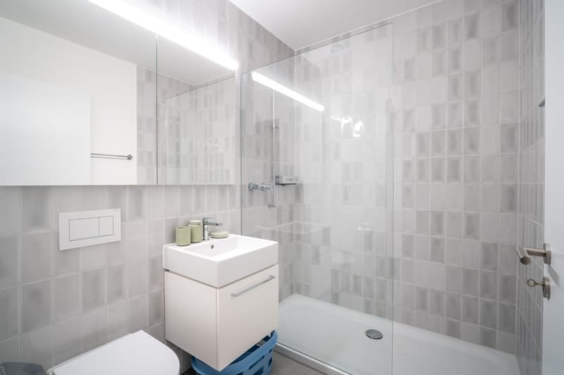 NEW WOW! 3min zum HB - möblierte 2.5-Zimmer-Wohnung 56m2 – ab 01.11.2025 (9)