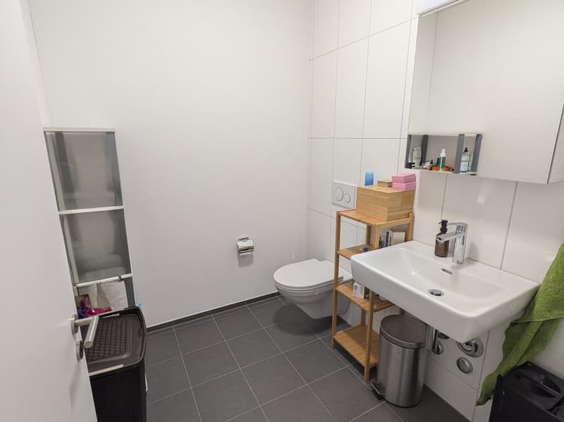 BEFRISTET: 01.09.2026 - 19.12.2026; Moderne möblierte 3.5-Zimmer-Wohnung mit Balkon und Bergsicht (10)