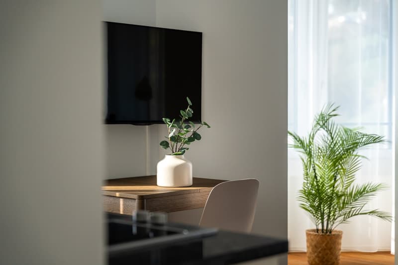 small room with desk, chair, TV, plants