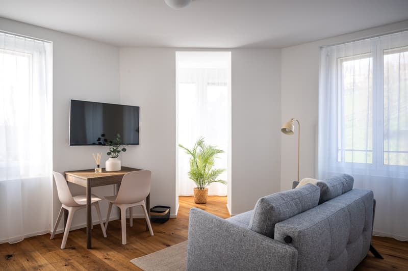 small room with a desk, two chairs, a couch, a TV, a lamp, and a potted plant