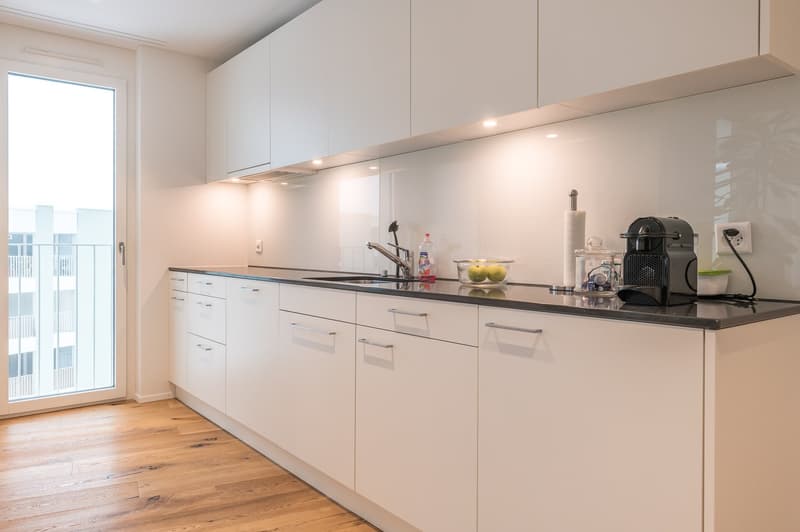 Modern 3.5 room apartment with balcony in Lucerne (4)