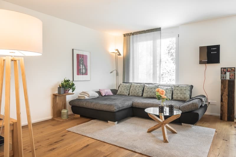 Modern 3.5 room apartment with balcony in Lucerne (3)