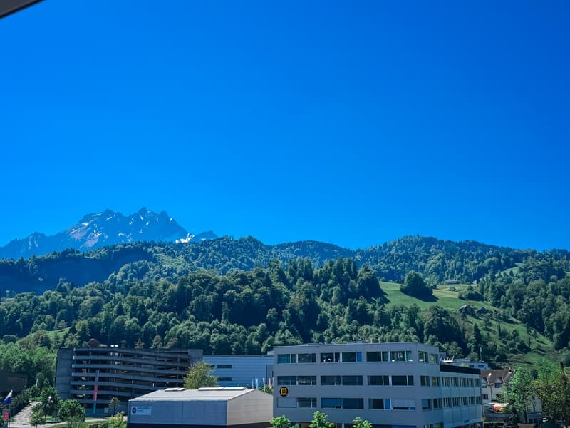 Temporary: 01.12.26 - 31.03.27; Furnished 3.5-room apartment in Kriens with balcony & mountain view (13)