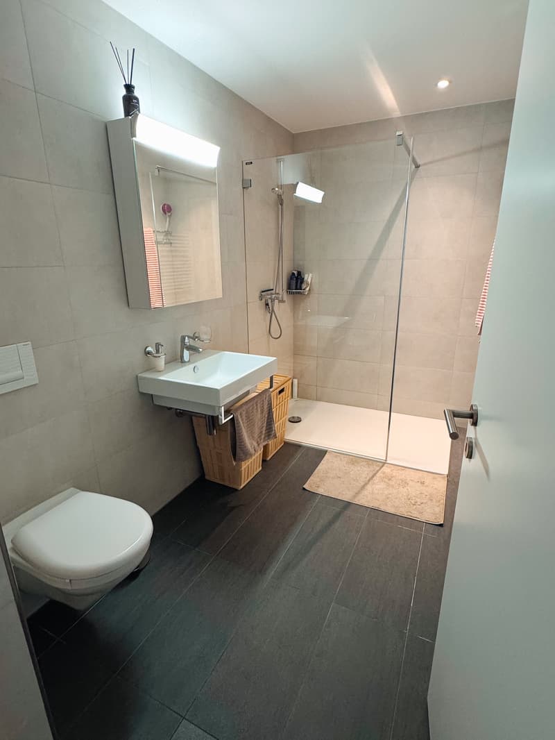 Temporary: 01.12.26 - 31.03.27; Furnished 3.5-room apartment in Kriens with balcony & mountain view (10)