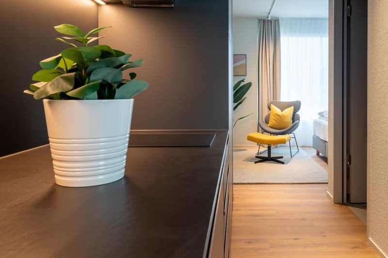 Appartement 1.5 pièces - au cœur de Zug avec trottinette électrique (3)