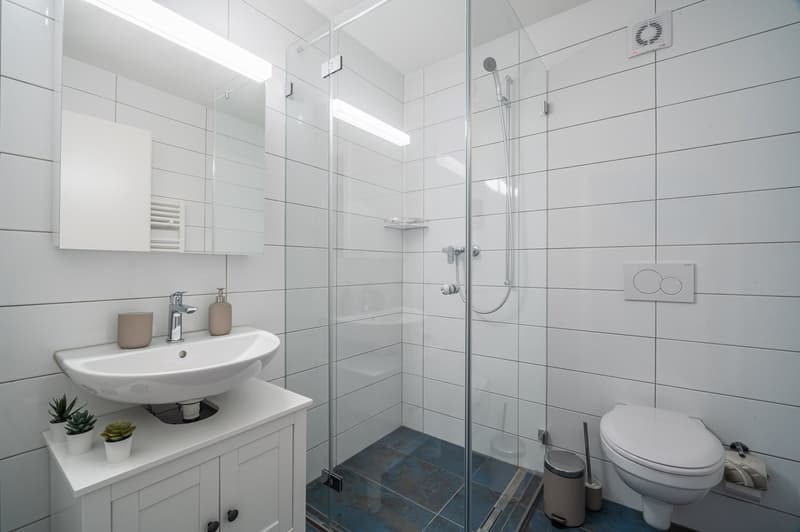 2 minutes à la gare principale - appartement meublé de 2,5 pièces (9)