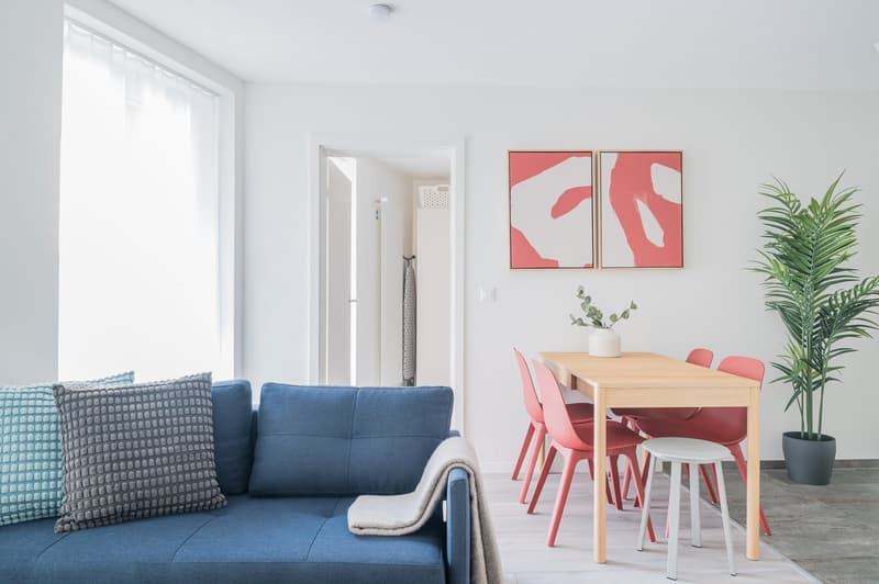 2 minutes à la gare principale - appartement meublé de 2,5 pièces (4)