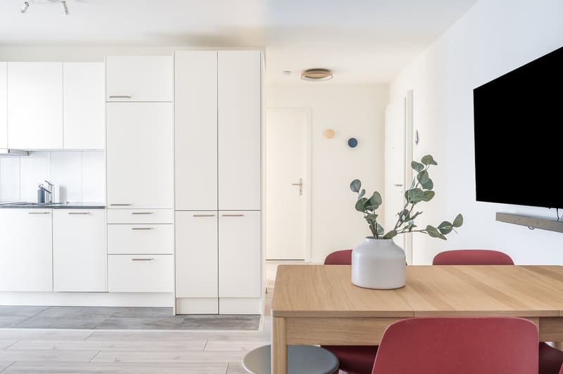 2min zum HB - möblierte 3.5 Zimmerwohnung (7)