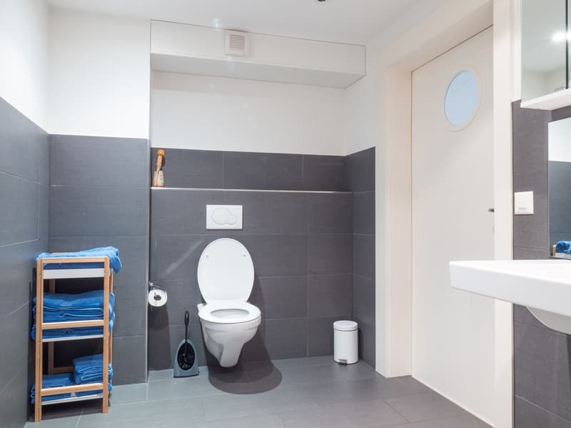 Furnished 3.5-room apartment on the ground floor in Hünenberg (9)
