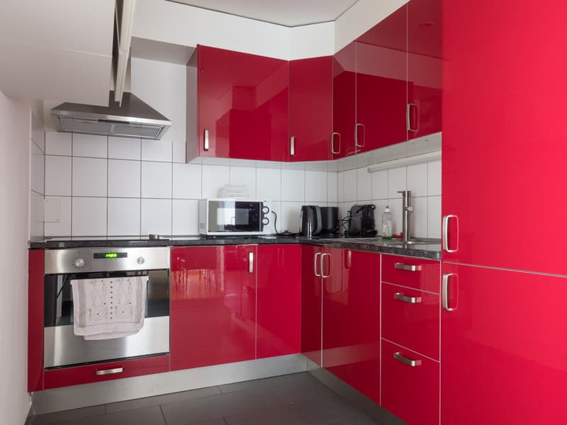 Furnished 3.5-room apartment on the ground floor in Hünenberg (6)