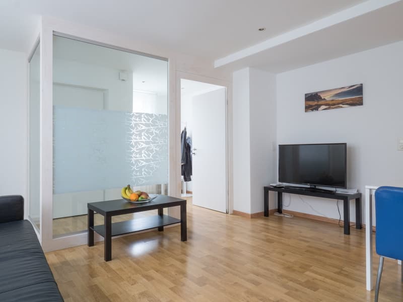 Furnished 3.5-room apartment on the ground floor in Hünenberg (4)