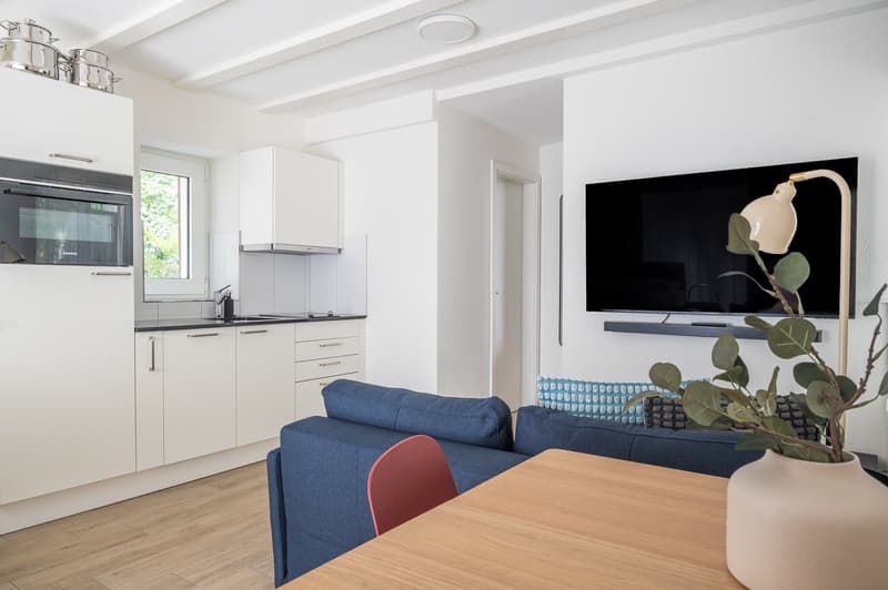 2min zum HB - möblierte 1.5 Zimmerwohnung mit privater Terrasse (3)