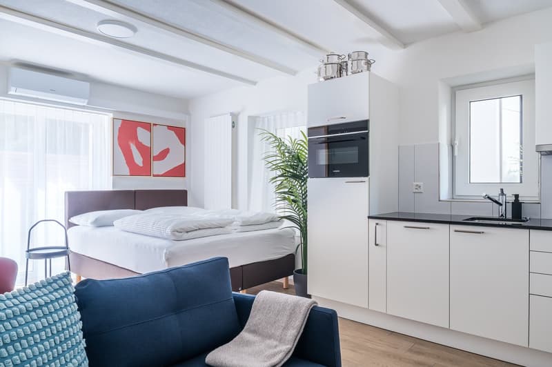 2min zum HB - möblierte 1.5 Zimmerwohnung mit privater Terrasse (2)