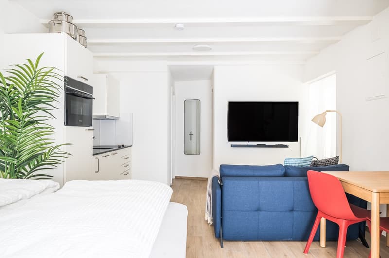 2min zum HB - möblierte 1.5 Zimmerwohnung mit privater Terrasse (5)