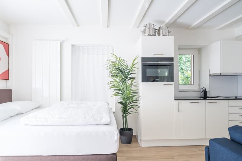 2min zum HB - möblierte 1.5 Zimmerwohnung mit privater Terrasse (4)
