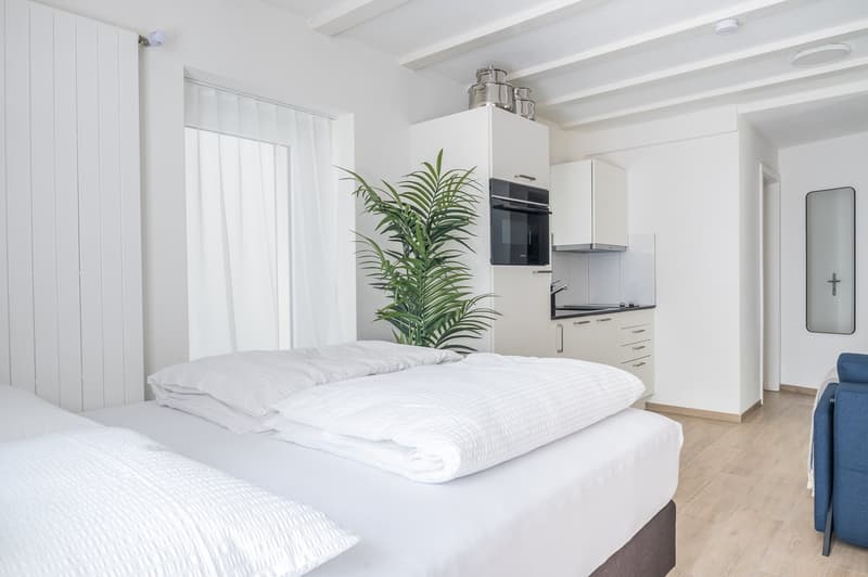 2min zum HB - möblierte 1.5 Zimmerwohnung mit privater Terrasse (6)