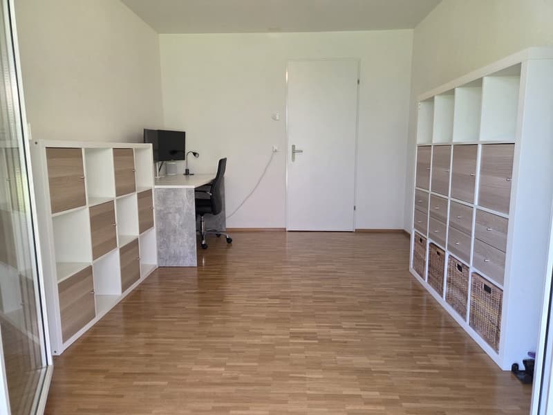 TEMPORARY: 01.09.2026 - 31.08.2028: Furnished 3.5-room apartment with private garden in Rothenburg (8)