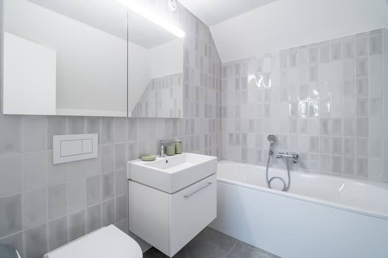4min zum HB - möblierte 3.5 Zimmerwohnung mit Dachterasse (14)