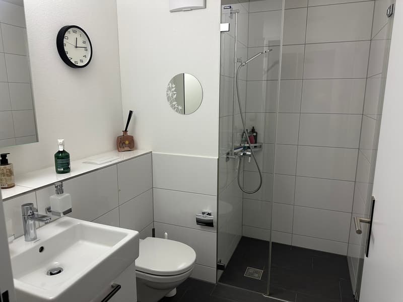 Moderne 4.5-Zimmer-Wohnung mit Aussicht in Zug (13)