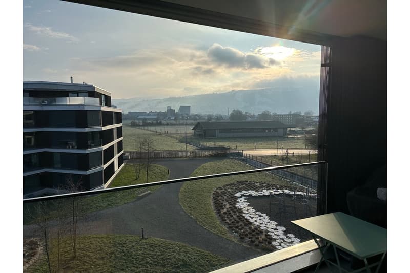Moderne 4.5-Zimmer-Wohnung mit Aussicht in Zug (17)
