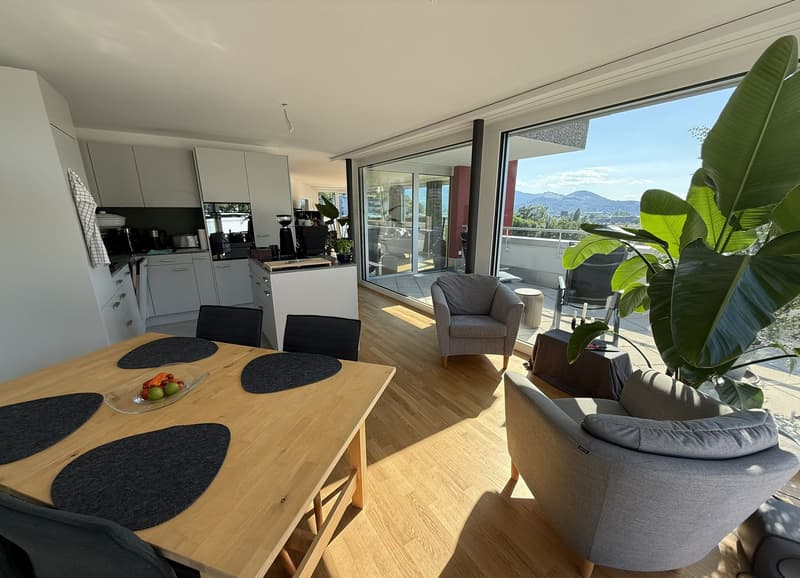 BEFRISTET: 15.07.2026 - 31.12.2026: Möblierte 4.5-Zimmer-Wohnung mit Dachterrasse und Seesicht (7)