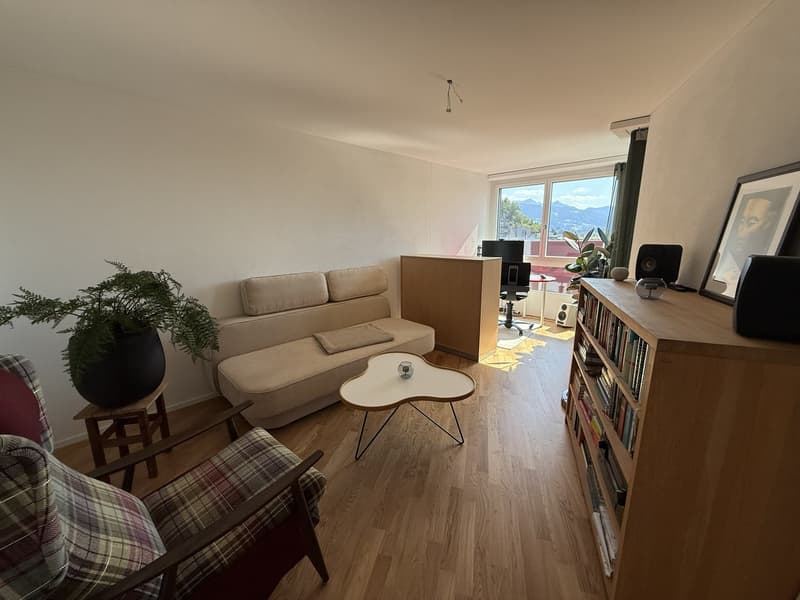 BEFRISTET: 15.07.2026 - 31.12.2026: Möblierte 4.5-Zimmer-Wohnung mit Dachterrasse und Seesicht (10)