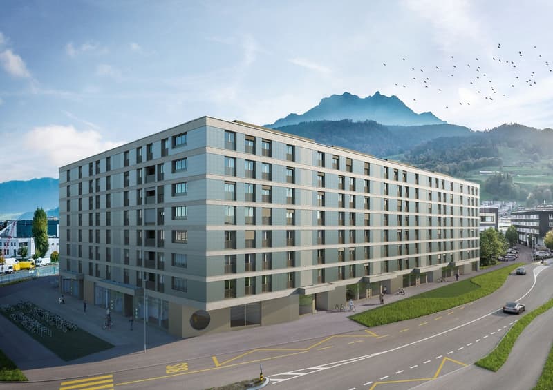 Appartamento lussuoso arredato 4.5 locali a Lucerna (8)