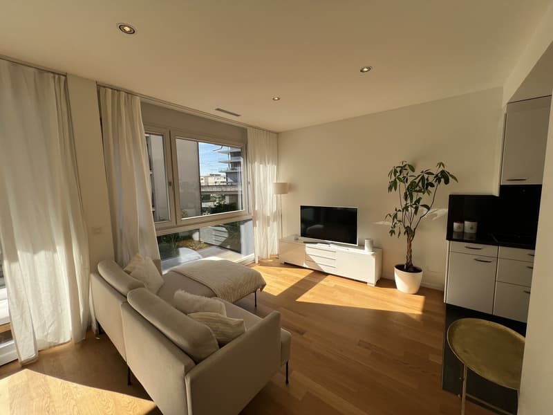 Appartamento arredato di 2,5 locali con balcone e vista sul lago a Zug (1)