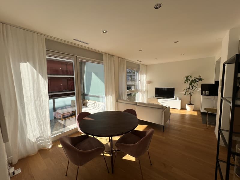 Appartamento arredato di 2,5 locali con balcone e vista sul lago a Zug (3)