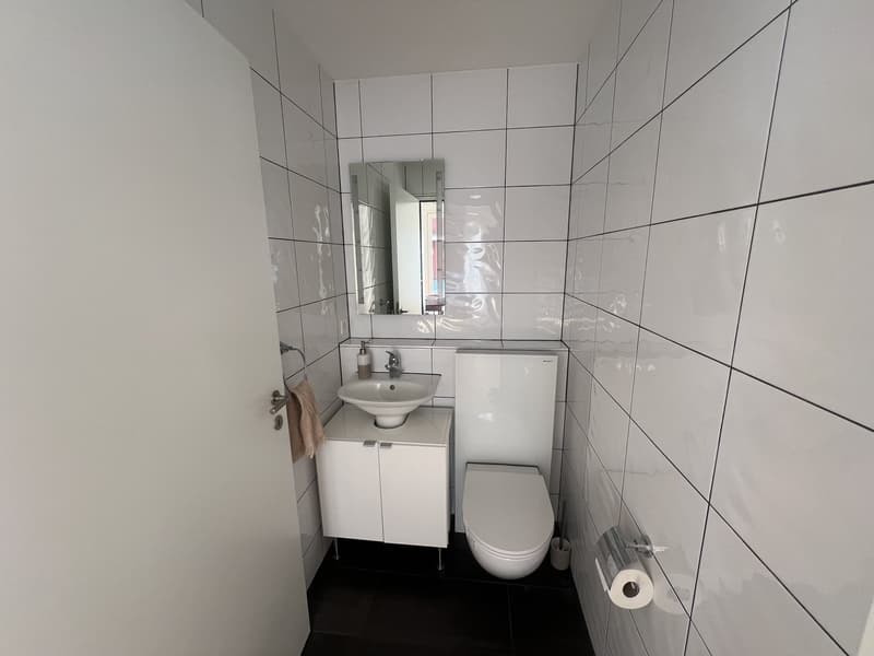 Appartamento arredato di 2,5 locali con balcone e vista sul lago a Zug (12)