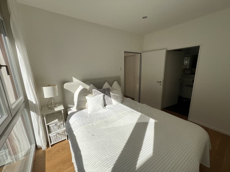 Appartamento arredato di 2,5 locali con balcone e vista sul lago a Zug (6)