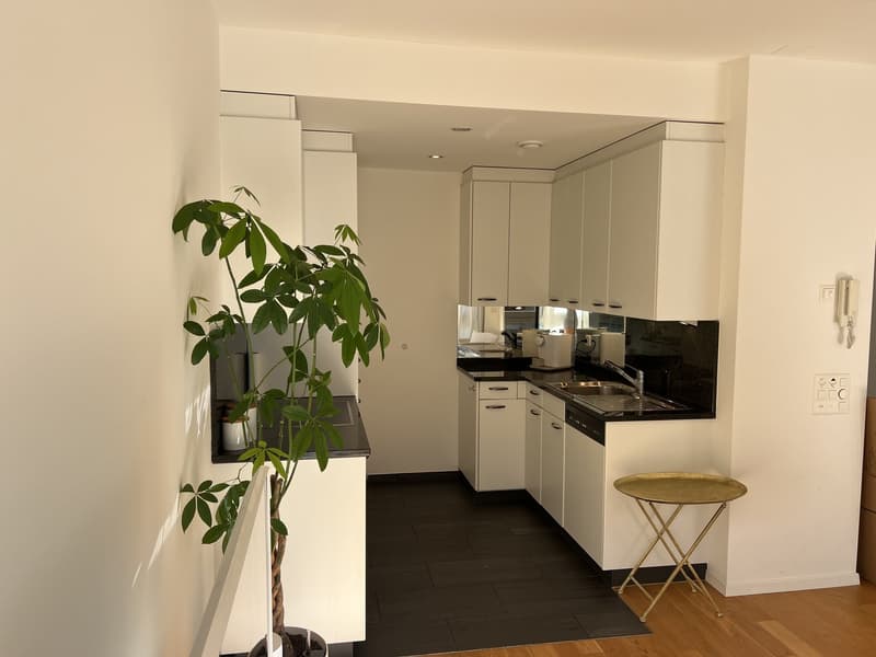 Appartamento arredato di 2,5 locali con balcone e vista sul lago a Zug (8)