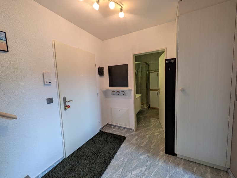 BEFRISTET: Möblierte 3.5-Zimmer-Maisonette mit grosser Terrasse in Rotkreuz (6)