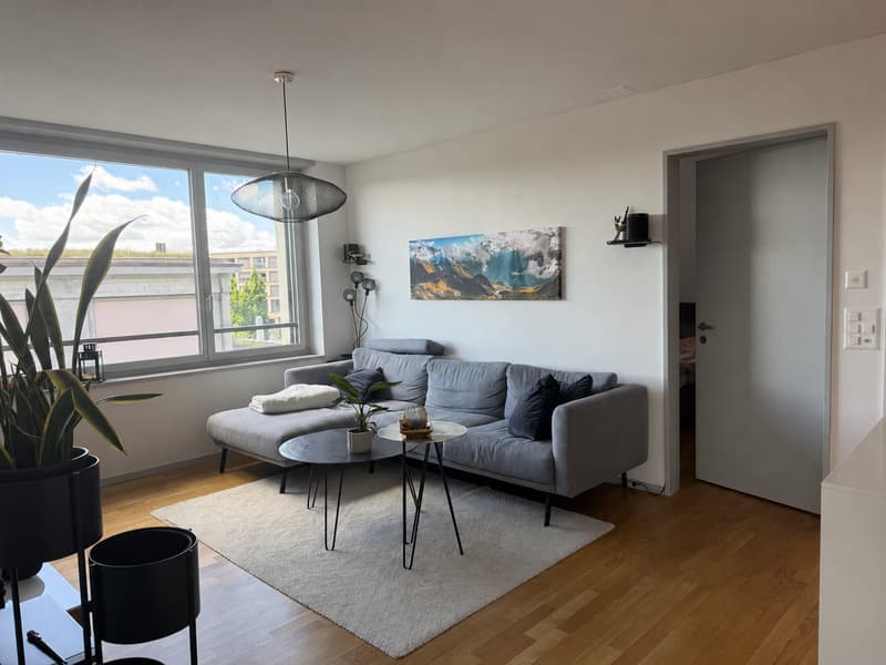 TEMPORARY: 21.08.2026 - 14.12.2026 / Stylish 3.5-room apartment with loggia and mountain view in Cham (3)