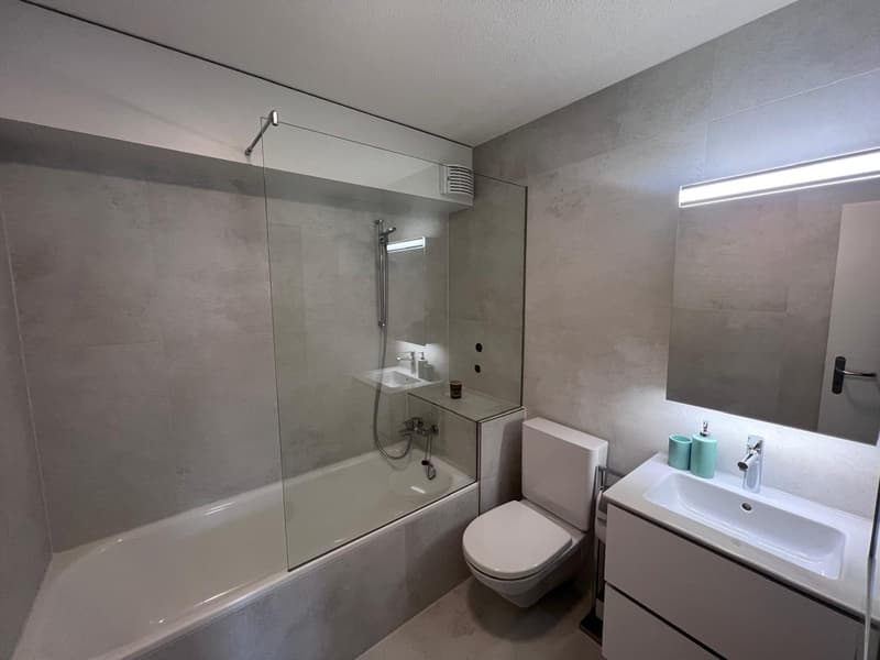 Möblierte 3.5-Zimmerwohnung mit Seeblick im Zentrum von Zug (2)